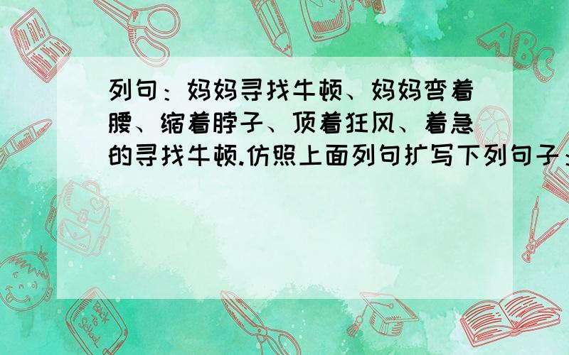 列句：妈妈寻找牛顿、妈妈弯着腰、缩着脖子、顶着狂风、着急的寻找牛顿.仿照上面列句扩写下列句子：第1句.我练毛笔 第2句.