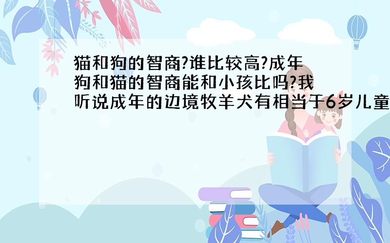 猫和狗的智商?谁比较高?成年狗和猫的智商能和小孩比吗?我听说成年的边境牧羊犬有相当于6岁儿童的智力.