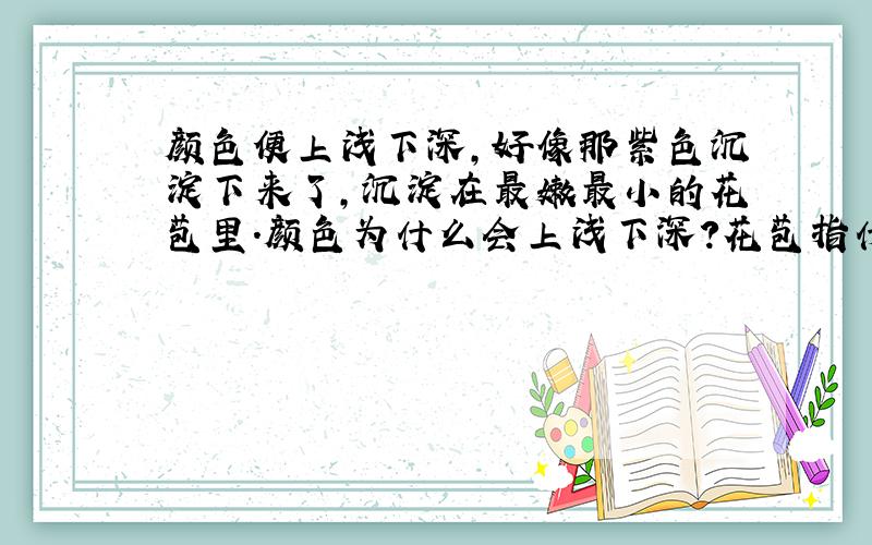 颜色便上浅下深,好像那紫色沉淀下来了,沉淀在最嫩最小的花苞里.颜色为什么会上浅下深?花苞指什么?