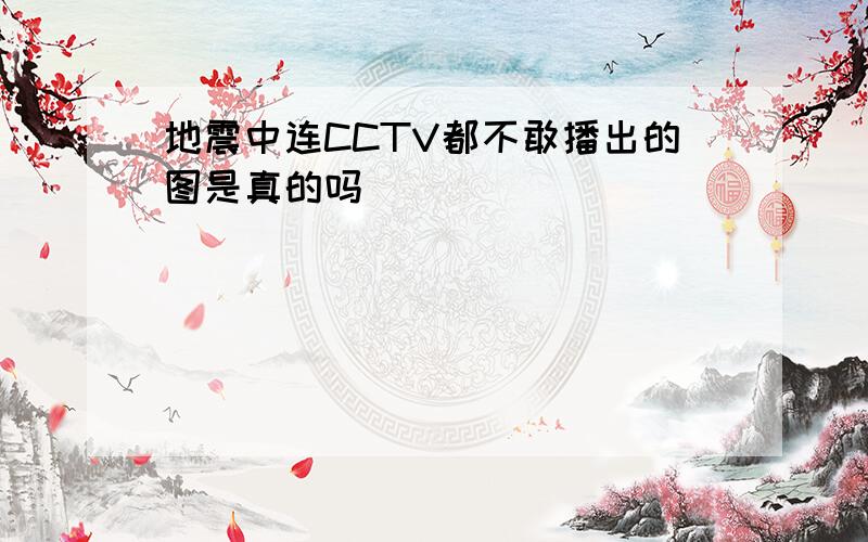 地震中连CCTV都不敢播出的图是真的吗