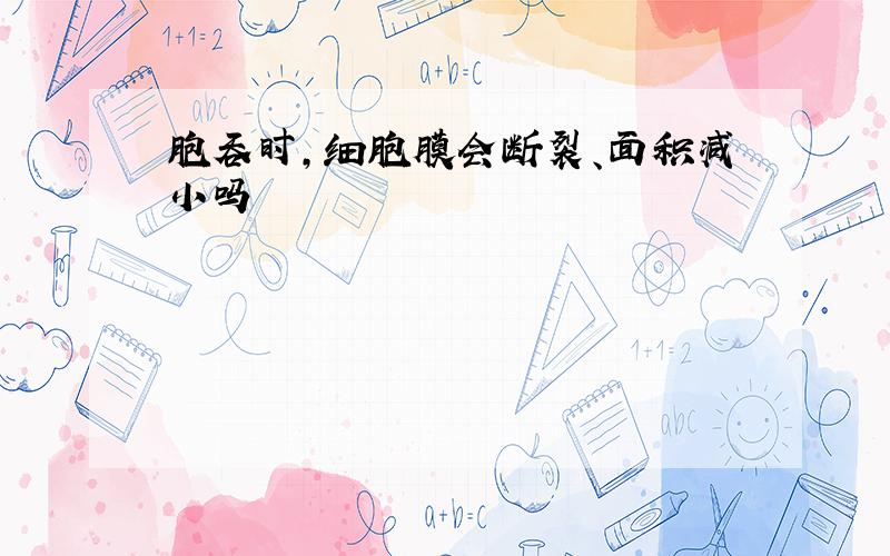 胞吞时,细胞膜会断裂、面积减小吗