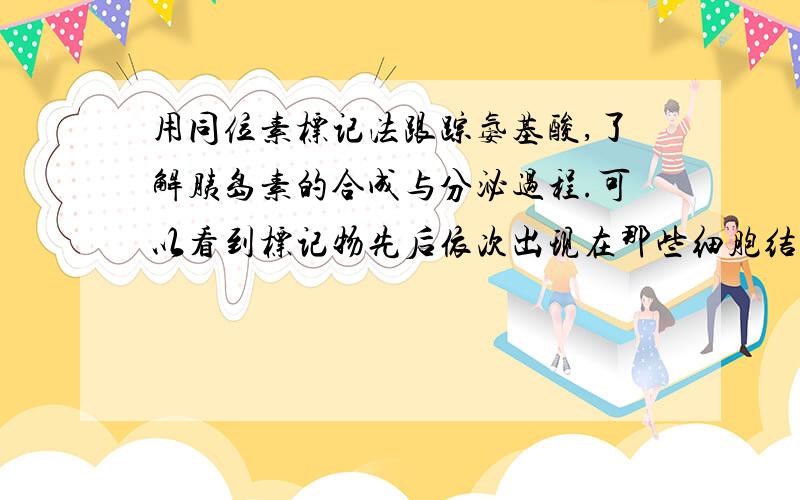 用同位素标记法跟踪氨基酸,了解胰岛素的合成与分泌过程.可以看到标记物先后依次出现在那些细胞结构上?