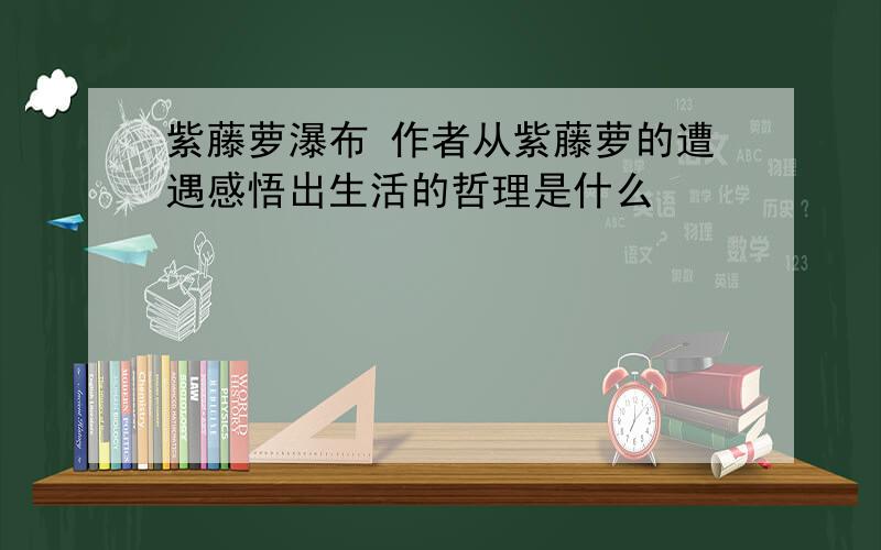 紫藤萝瀑布 作者从紫藤萝的遭遇感悟出生活的哲理是什么