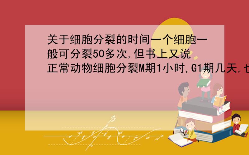 关于细胞分裂的时间一个细胞一般可分裂50多次,但书上又说正常动物细胞分裂M期1小时,G1期几天,也就是说一个细胞分裂最多