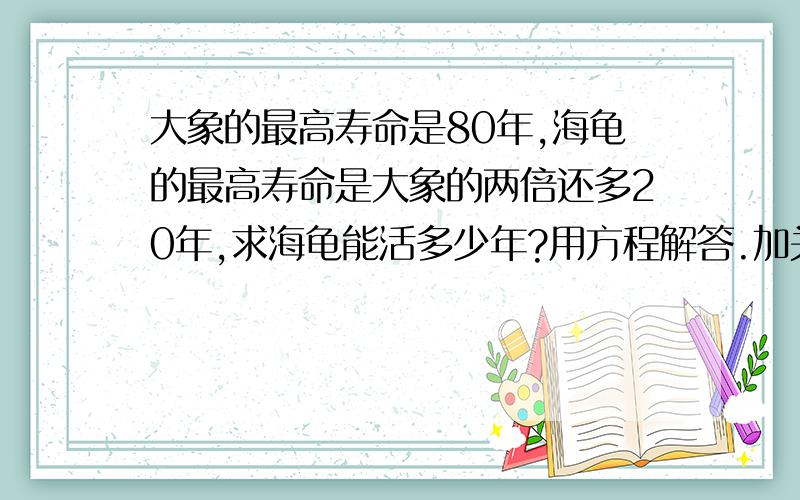 大象的最高寿命是80年,海龟的最高寿命是大象的两倍还多20年,求海龟能活多少年?用方程解答.加关系式