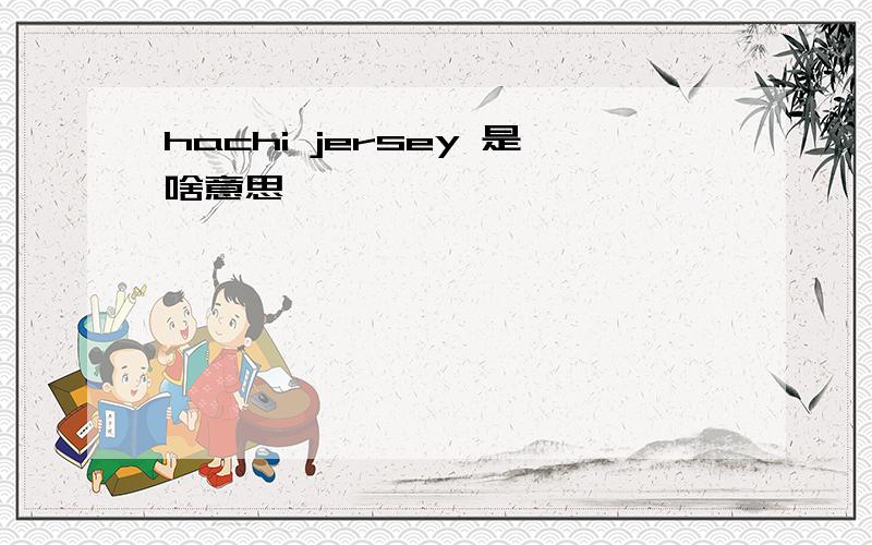 hachi jersey 是啥意思