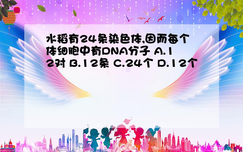 水稻有24条染色体,因而每个体细胞中有DNA分子 A.12对 B.12条 C.24个 D.12个