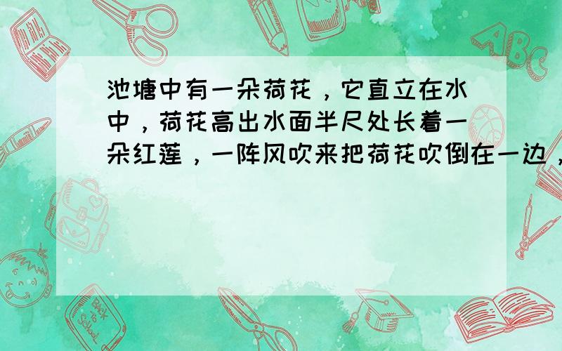 池塘中有一朵荷花，它直立在水中，荷花高出水面半尺处长着一朵红莲，一阵风吹来把荷花吹倒在一边，红莲倒在水面位置距荷花生长处