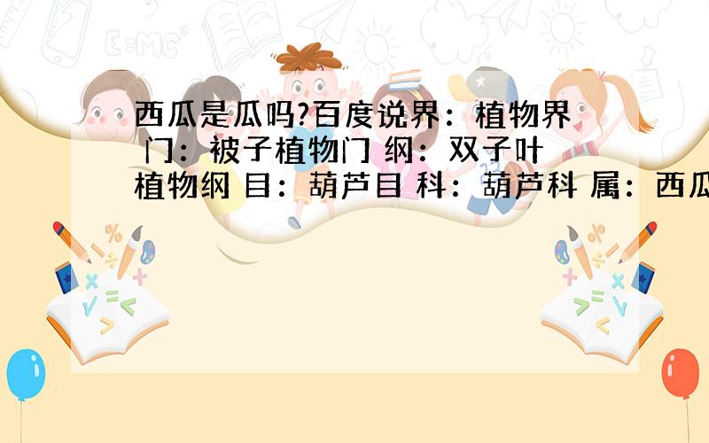 西瓜是瓜吗?百度说界：植物界 门：被子植物门 纲：双子叶植物纲 目：葫芦目 科：葫芦科 属：西瓜属 那它属于瓜还是葫芦?