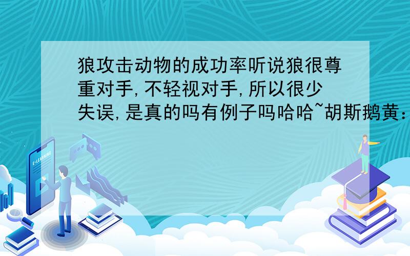 狼攻击动物的成功率听说狼很尊重对手,不轻视对手,所以很少失误,是真的吗有例子吗哈哈~胡斯鹅黄：通常情况下，平均每四次出击