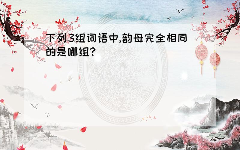 下列3组词语中,韵母完全相同的是哪组?