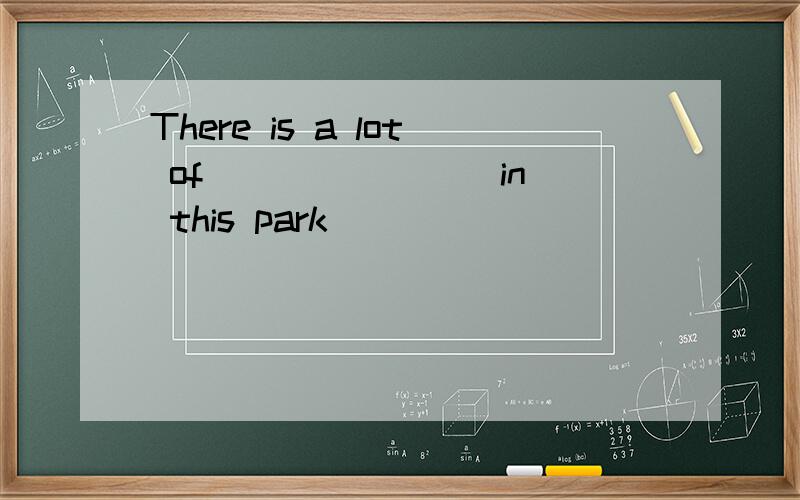 There is a lot of _______ in this park