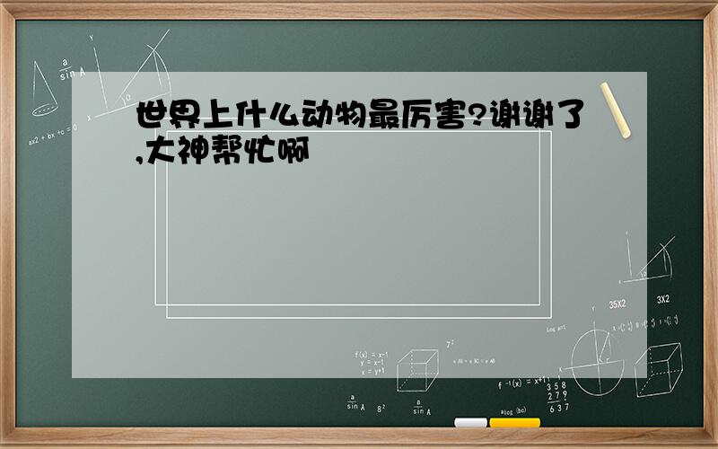 世界上什么动物最厉害?谢谢了,大神帮忙啊