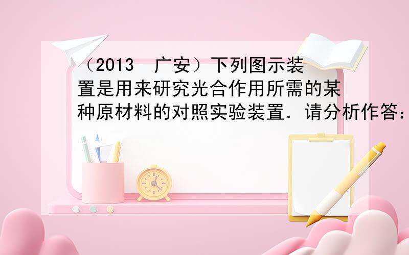 （2013•广安）下列图示装置是用来研究光合作用所需的某种原材料的对照实验装置．请分析作答：