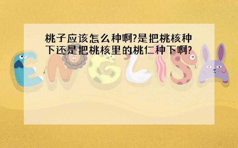 桃子应该怎么种啊?是把桃核种下还是把桃核里的桃仁种下啊?