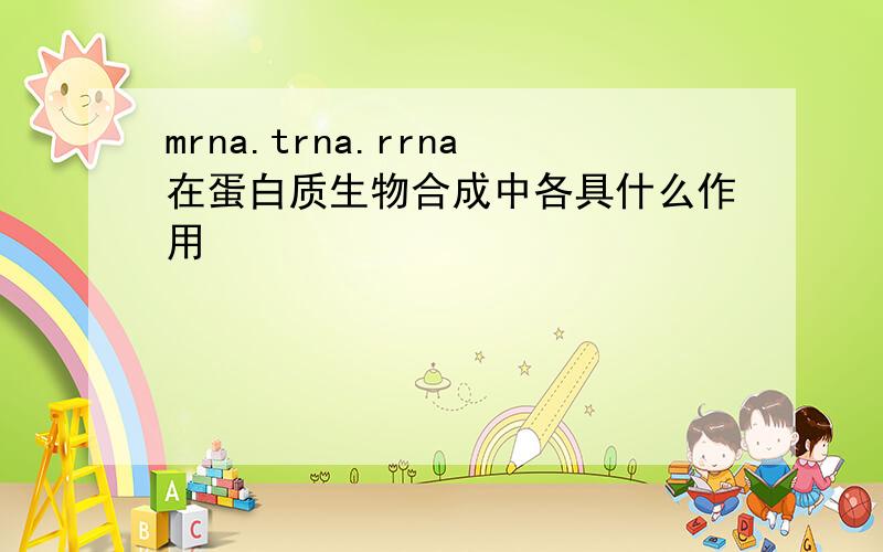 mrna.trna.rrna在蛋白质生物合成中各具什么作用