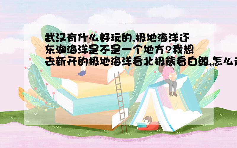 武汉有什么好玩的,极地海洋还东湖海洋是不是一个地方?我想去新开的极地海洋看北极熊看白鲸,怎么走?