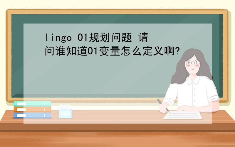 lingo 01规划问题 请问谁知道01变量怎么定义啊?