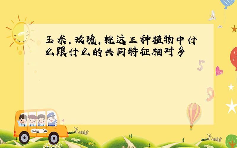 玉米,玫瑰,桃这三种植物中什么跟什么的共同特征相对多