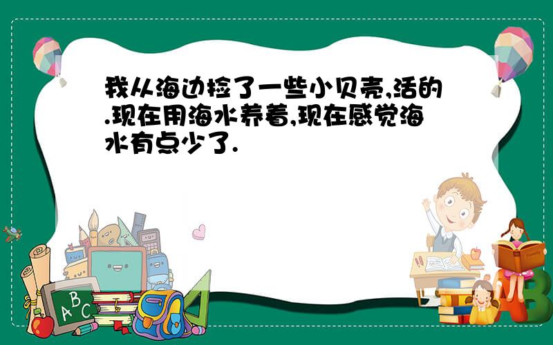 我从海边捡了一些小贝壳,活的.现在用海水养着,现在感觉海水有点少了.