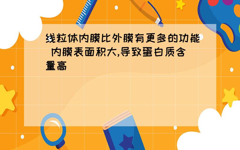 线粒体内膜比外膜有更多的功能 内膜表面积大,导致蛋白质含量高