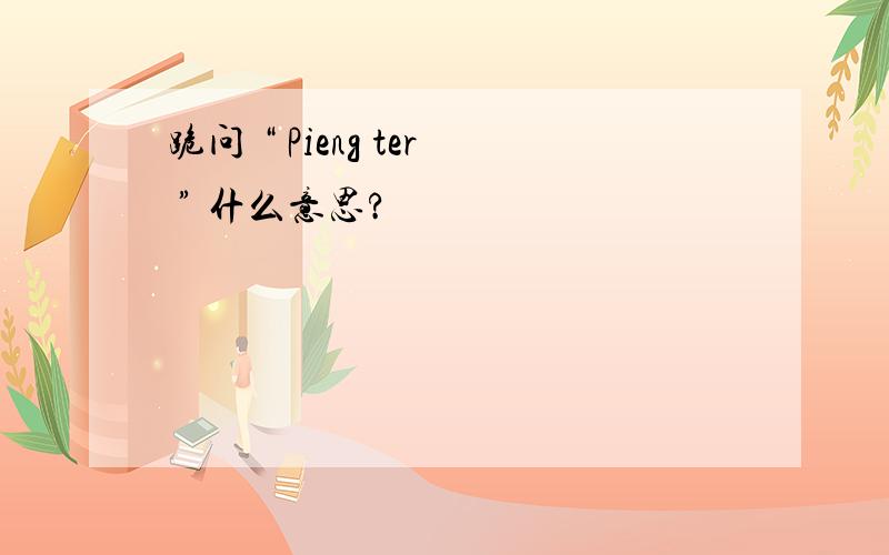 跪问 “ Pieng ter ” 什么意思?