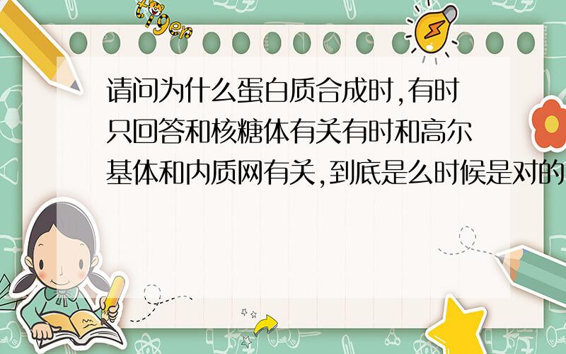 请问为什么蛋白质合成时,有时只回答和核糖体有关有时和高尔基体和内质网有关,到底是么时候是对的,例如分裂间期蛋白质合成只与