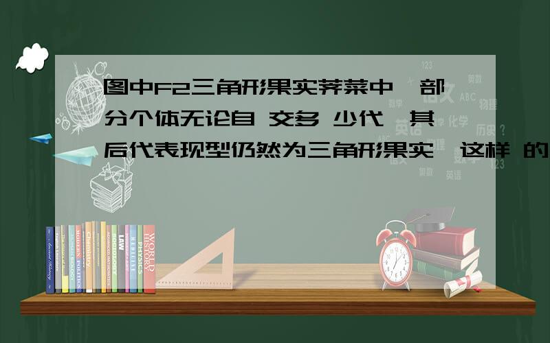 图中F2三角形果实荠菜中,部分个体无论自 交多 少代,其后代表现型仍然为三角形果实,这样 的 个体