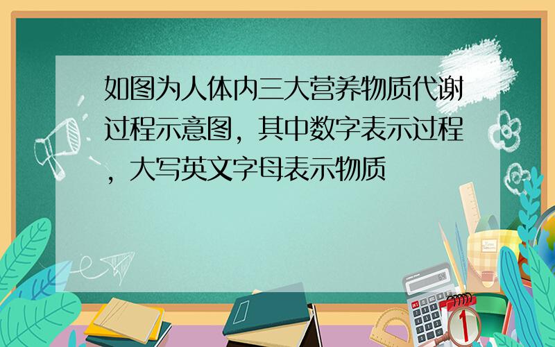 如图为人体内三大营养物质代谢过程示意图，其中数字表示过程，大写英文字母表示物质