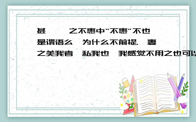 甚矣 汝之不惠中“不惠”不也是谓语么,为什么不前提.吾妻之美我者,私我也,我感觉不用之也可以呀