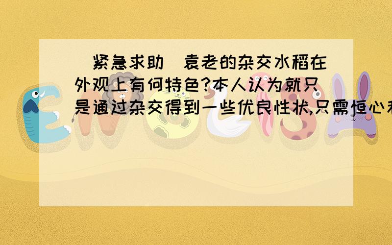 [紧急求助]袁老的杂交水稻在外观上有何特色?本人认为就只是通过杂交得到一些优良性状,只需恒心和观察...