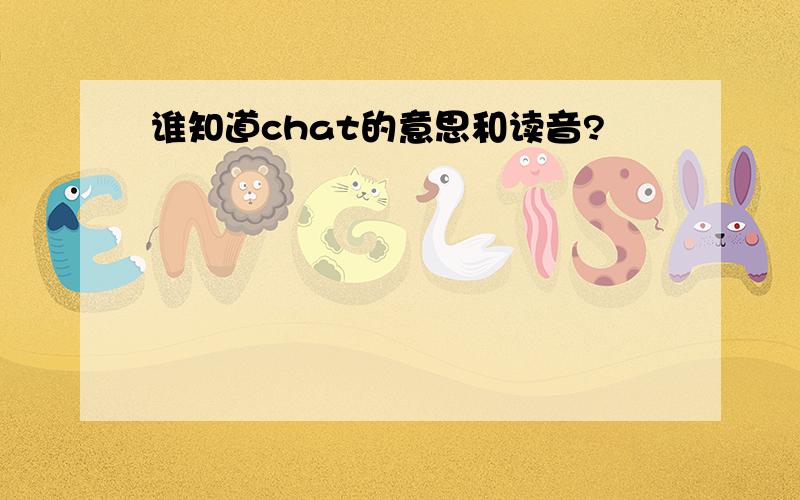 谁知道chat的意思和读音?