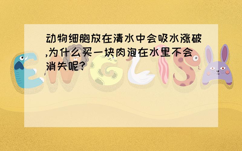 动物细胞放在清水中会吸水涨破,为什么买一块肉泡在水里不会消失呢?