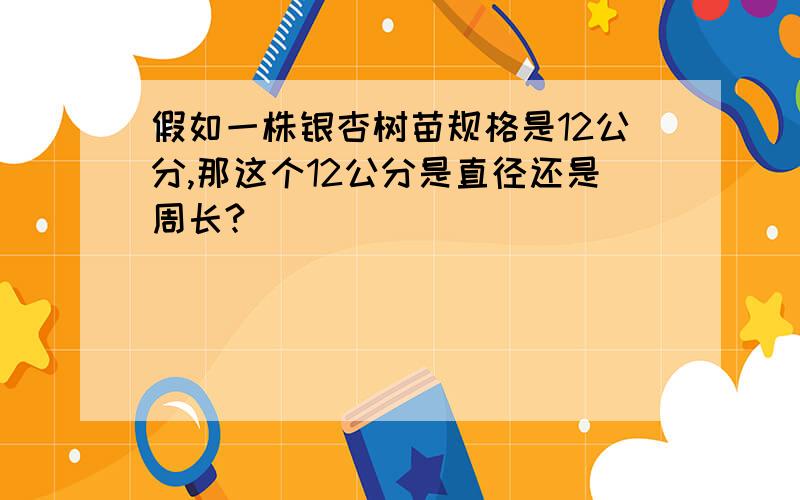 假如一株银杏树苗规格是12公分,那这个12公分是直径还是周长?