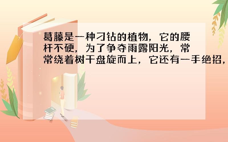 葛藤是一种刁钻的植物，它的腰杆不硬，为了争夺雨露阳光，常常绕着树干盘旋而上，它还有一手绝招，就是它绕树盘升的路线总是沿最