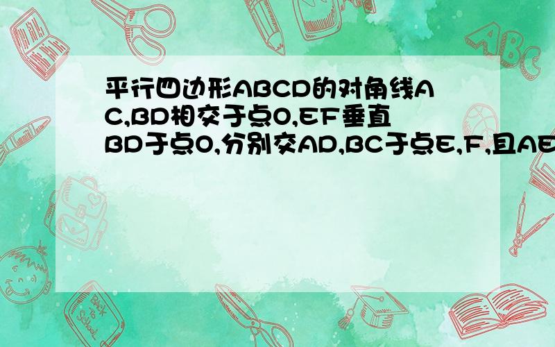 平行四边形ABCD的对角线AC,BD相交于点O,EF垂直BD于点O,分别交AD,BC于点E,F,且AE=EO=0.5BF