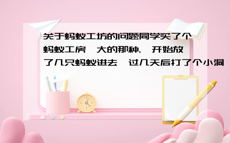 关于蚂蚁工坊的问题同学买了个蚂蚁工房,大的那种.一开始放了几只蚂蚁进去,过几天后打了个小洞,同学觉得不美观,就把蚂蚁工房