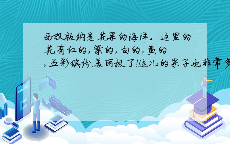 西双版纳是花果的海洋。这里的花，有红的,紫的,白的,黄的,五彩缤纷，美丽极了！这儿的果子也非常多，香蕉，菠萝蜜，荔枝，过