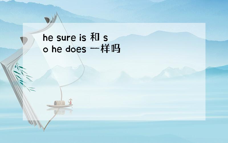 he sure is 和 so he does 一样吗