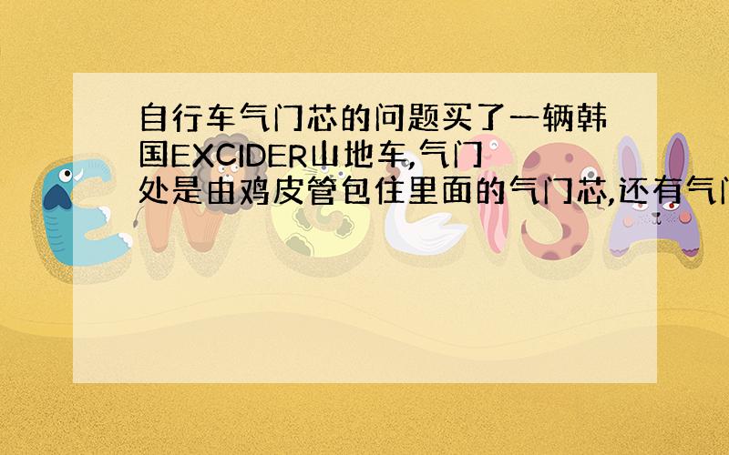 自行车气门芯的问题买了一辆韩国EXCIDER山地车,气门处是由鸡皮管包住里面的气门芯,还有气门芯顶处有一个螺丝固定着组成