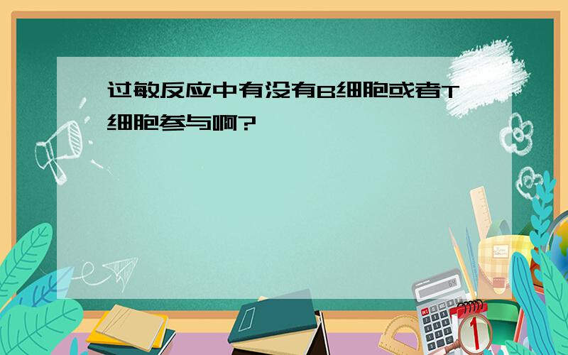 过敏反应中有没有B细胞或者T细胞参与啊?