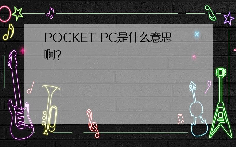 POCKET PC是什么意思啊?