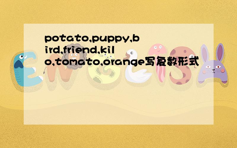 potato,puppy,bird,friend,kilo,tomato,orange写复数形式