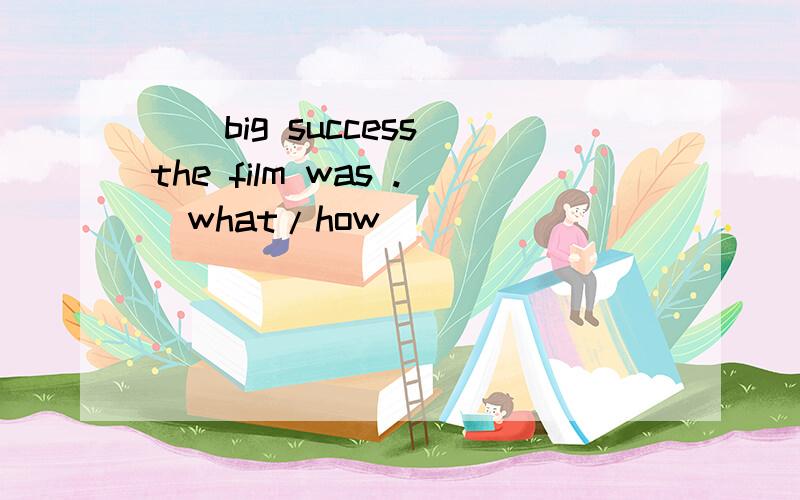 （）big success the film was .（what/how）