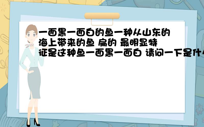 一面黑一面白的鱼一种从山东的海上带来的鱼 扁的 最明显特征是这种鱼一面黑一面白 请问一下是什么鱼