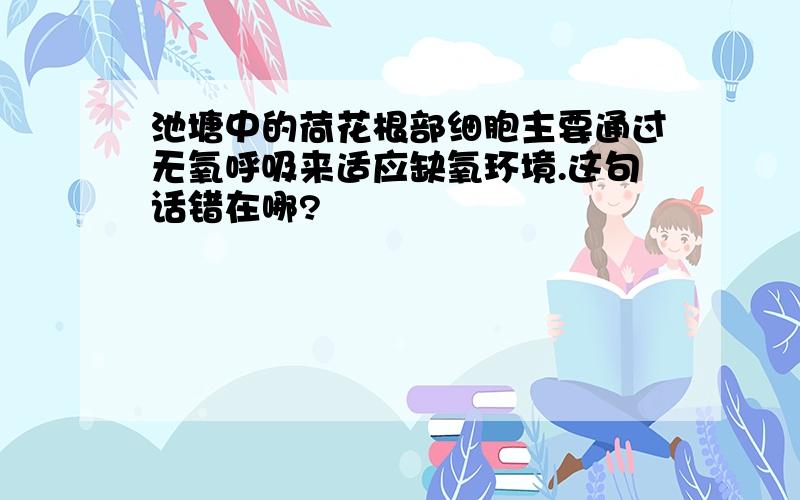 池塘中的荷花根部细胞主要通过无氧呼吸来适应缺氧环境.这句话错在哪?