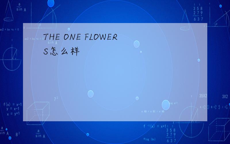 THE ONE FLOWERS怎么样