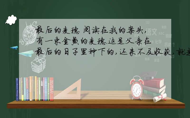 最后的麦穗 阅读在我的案头,有一束金黄的麦穗.这是父亲在最后的日子里种下的,还来不及收获,就走了.当时,我们把它当成父亲