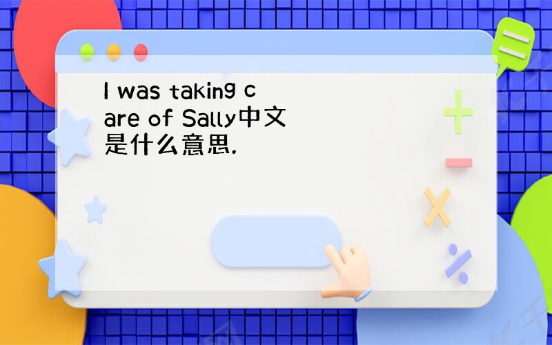 I was taking care of Sally中文是什么意思.