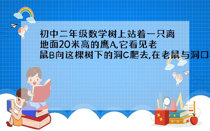 初中二年级数学树上站着一只离地面20米高的鹰A,它看见老鼠B向这棵树下的洞C爬去,在老鼠与洞口的距离适应所在高度的两倍时